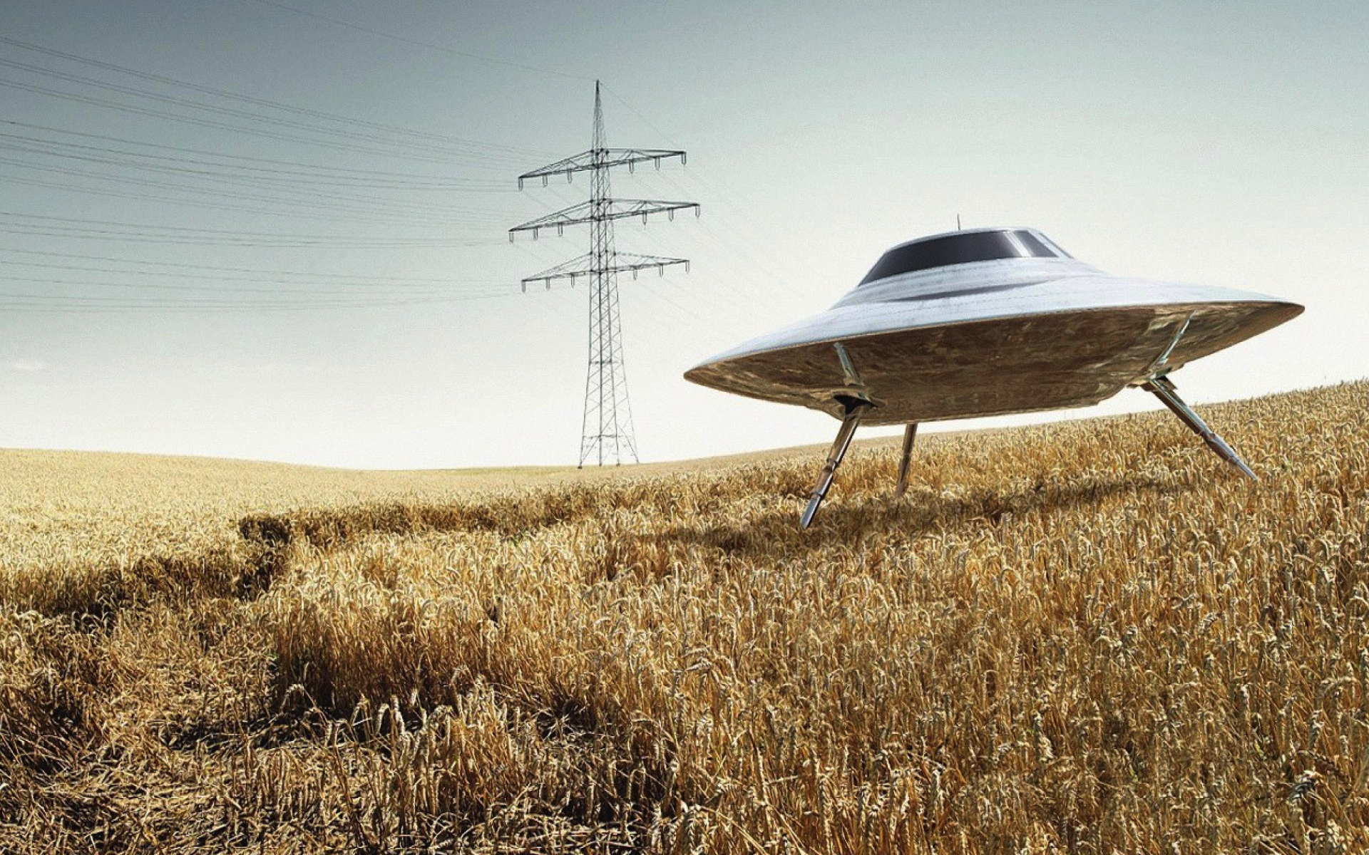 UFO Sitting in Wheat Field